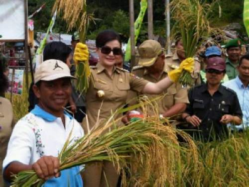 Pusat Kucurkan 8 Miliar Untuk Poktan Minsel